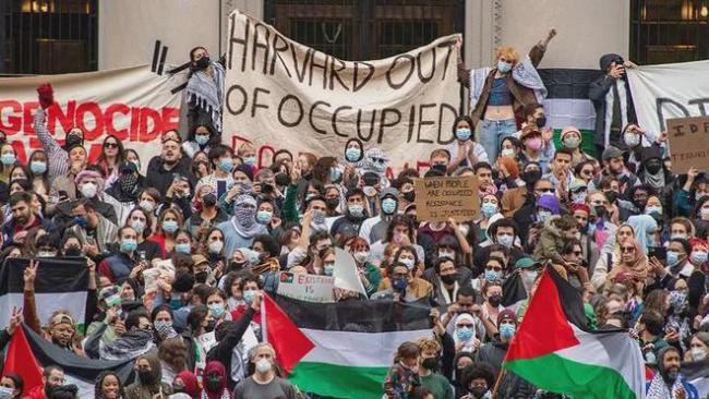 巴勒斯坦裔以色列公民举行游行抗议 法案争议加剧美国社会分裂