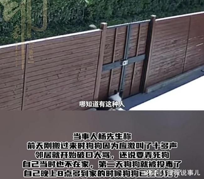 男子两只宠物犬被人隔墙毒死 邻里矛盾引悲剧