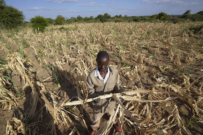 干旱威胁粮食安全 津巴布韦呼吁国际社会施以援手