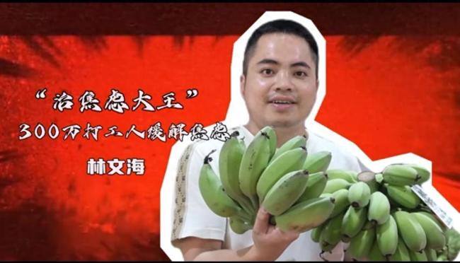 一盆香蕉治愈300万打工人 大厂员工离职后卖蕉绿月入200万