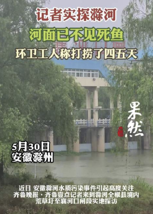 记者实探滁河 河面已不见死鱼 水质逐步恢复中
