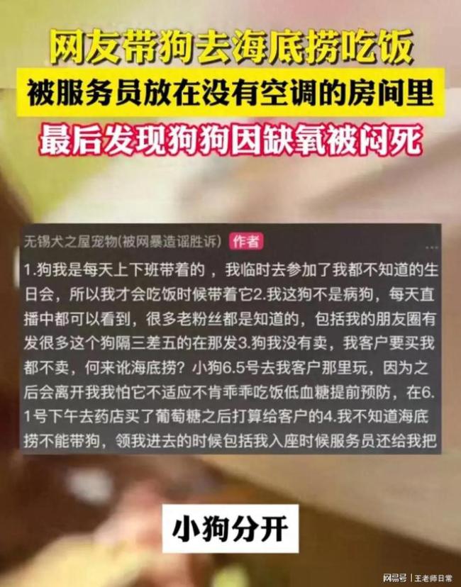 女子就餐狗被服务员放工作间闷死