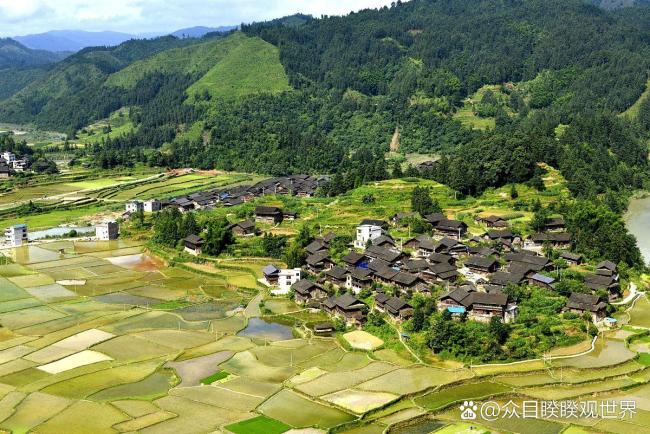 芒种时节人容易困倦懒散没精神 养生攻略助你活力满满度盛夏