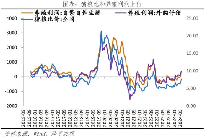 猪肉价格突然起飞 专家称上涨空间有限