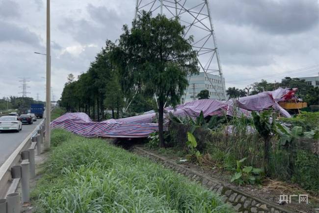 东莞电力施工塔吊倒塌砸到小轿车 现场仍在处置中 