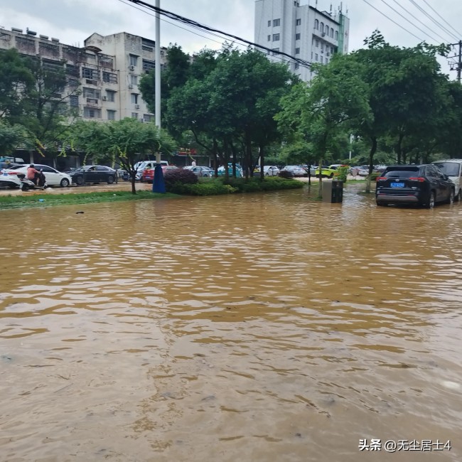 网友实拍黄山暴雨 安徽黄山遭遇强降雨袭击