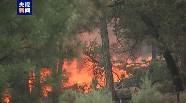 美国新墨西哥州林火持续燃烧5天仍未受控