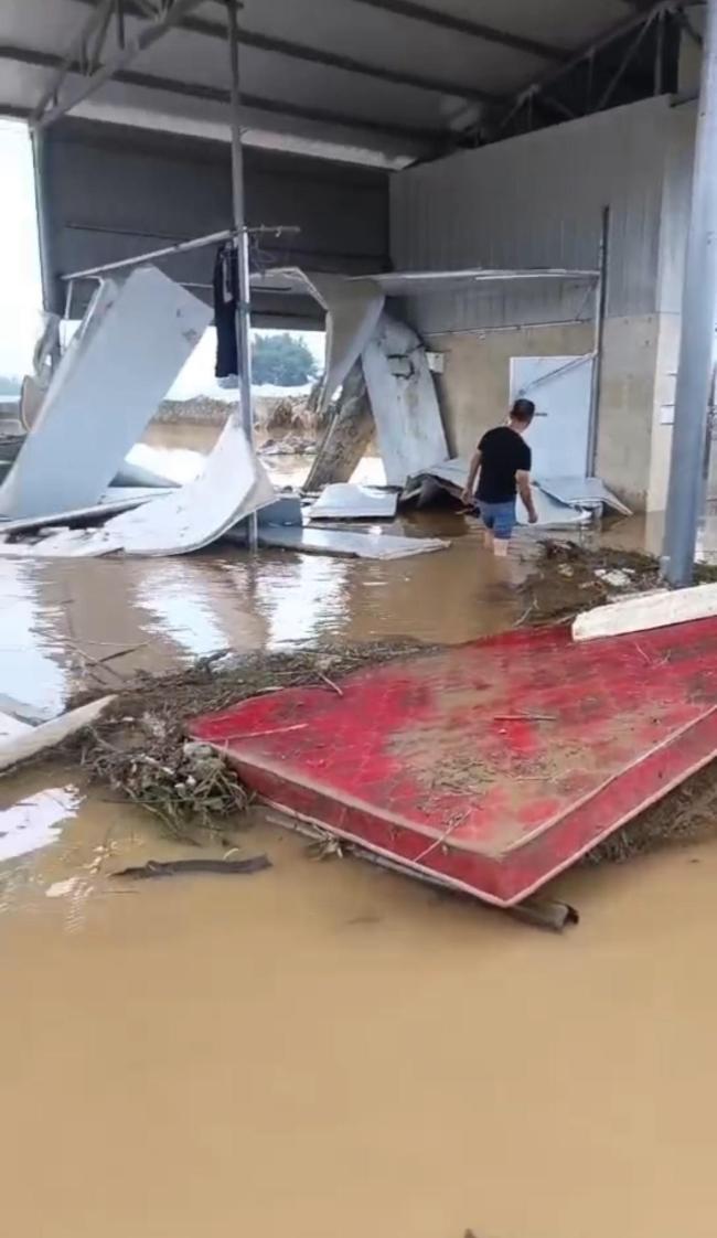 平江洪水后有果园损失约400万 农业灾后重建亟待支援