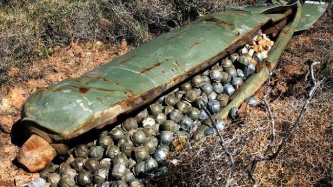 防备俄罗斯，立陶宛要退出《禁止使用集束弹药条约》