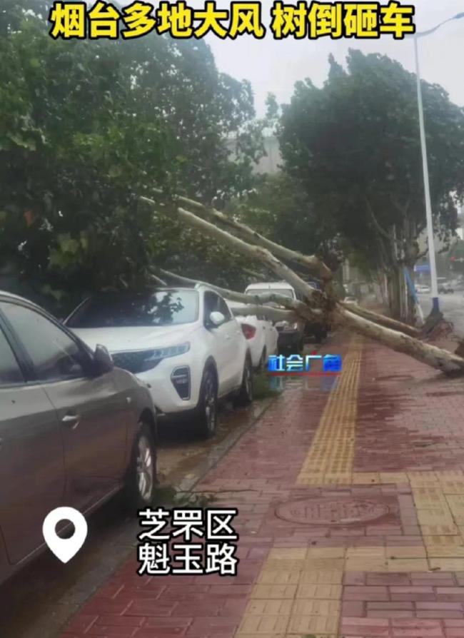 实拍烟台大风 琴音对抗狂风骤雨