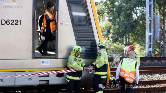 双胞胎坐婴儿车滚下站台撞上火车 父亲英勇救人牺牲