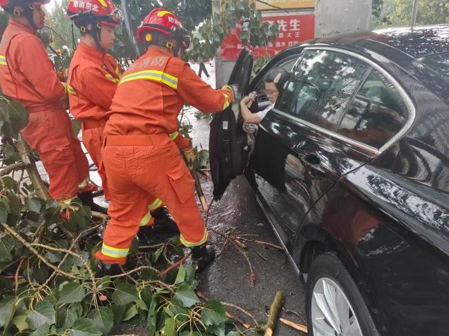 北京疾风暴雨 有树差点砸中消防车 出行安全警钟敲响
