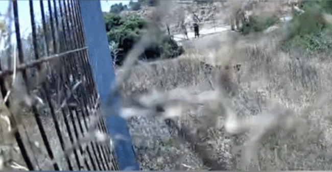哈马斯用炸药炸断隔离墙:俩以士兵赶来被炸倒 以军官前来观察又被炸