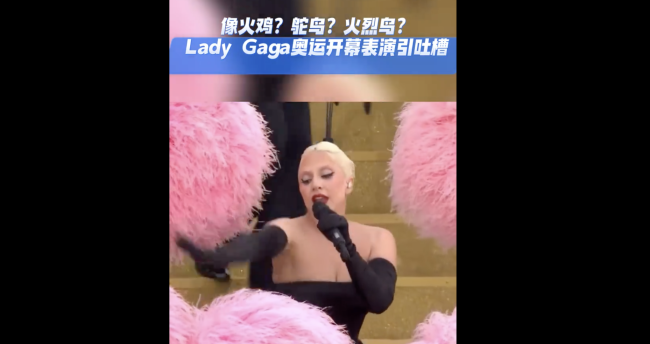 Lady Gaga火烈鸟造型 粉羽舞动奥秘夜