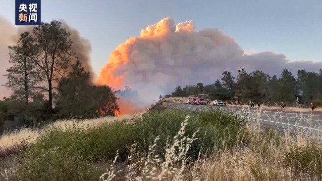 美国加州三县因山火进入紧急状态