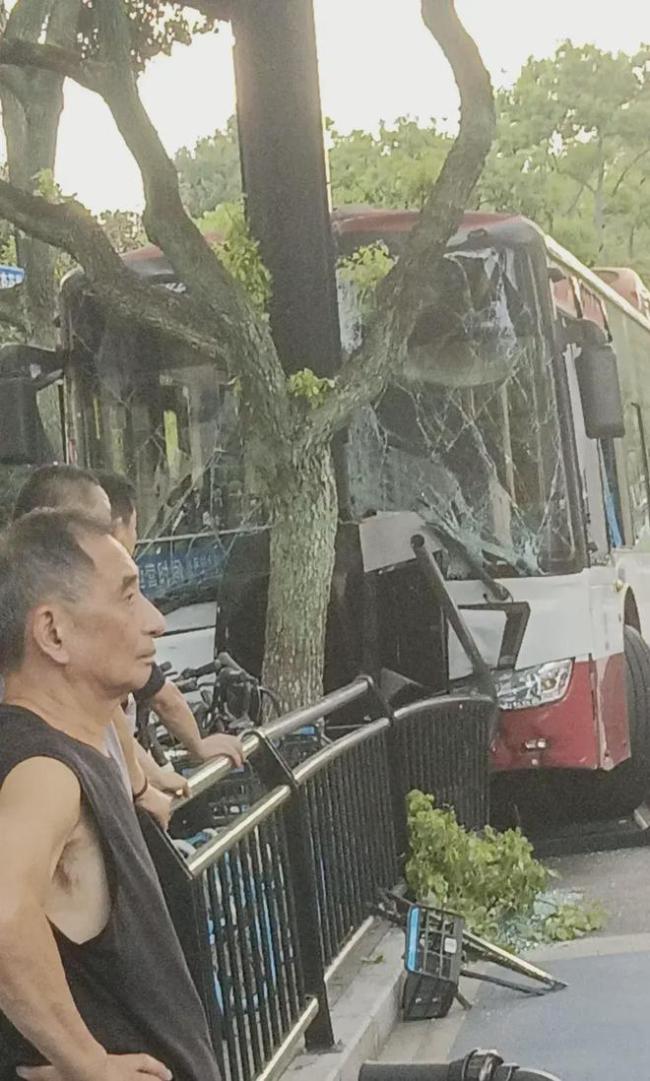 公交车撞上路边大树多人受伤