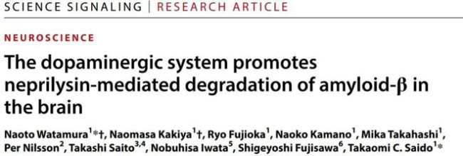 补充多巴胺，就可镌汰阿尔茨海默病？撤销毒性卵白的新关节找到了