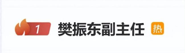 樊振东 走过的每一步都算数 从低谷到巅峰的历程