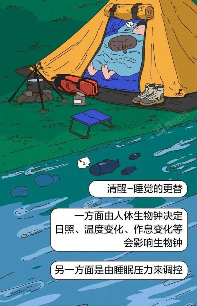 一坐车就犯困的人，99%都有这个问题！揭秘原因所在