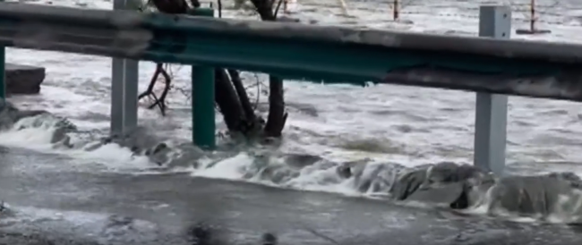 河北沧州暴雨海水倒灌高速 车胎被螃蟹扎破