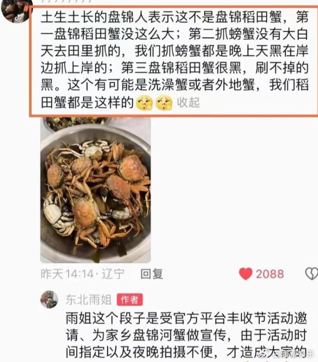 网传东北雨姐视频造假塌房 诚信危机再引热议