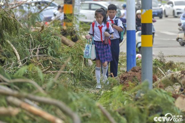 海口各中小學校9日起分批複學複課