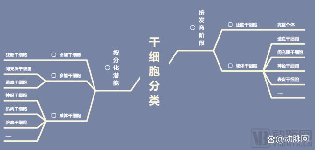 外商独资医院会带来“鲶鱼效应”吗