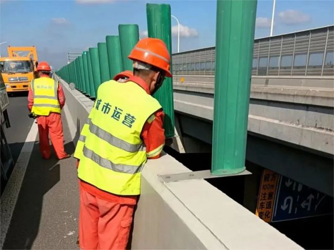 台风过境上海多部门加速清障保畅通