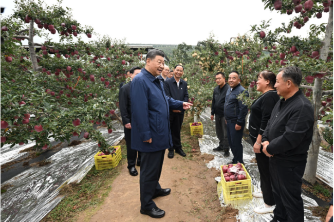 總書記甘陜行｜記者手記：踐青山之諾,，成大河之治