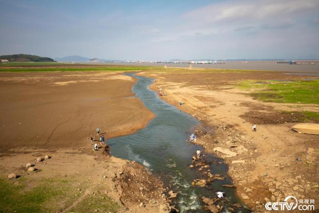 鄱阳湖跌破枯水位 蛤蟆石景观“水落石出”