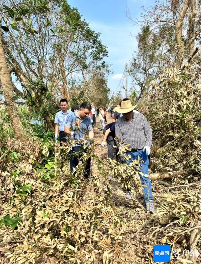 台风过后各地有序恢复生产生活 海口市住建局在行动