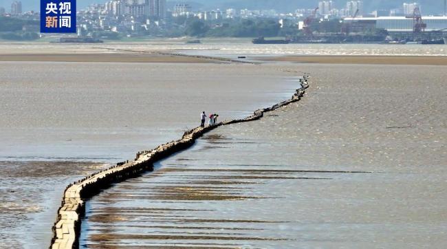 江西鄱陽湖進入枯水期 明代“千眼橋”露真容