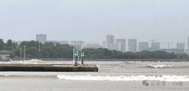 钱塘江大潮突然涌入西湖九溪 壮观奇景引游客惊叹