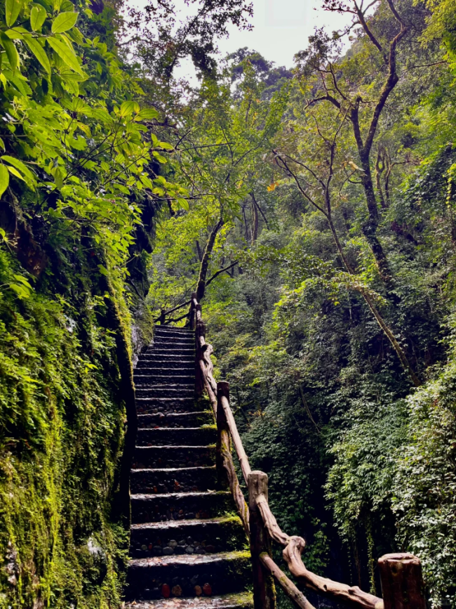 哀牢山：一山有四季 十里不同天，探秘之旅成热门