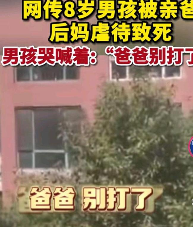 15岁当爹？华子怀疑8岁男孩是自己儿子，将其母亲告上法庭