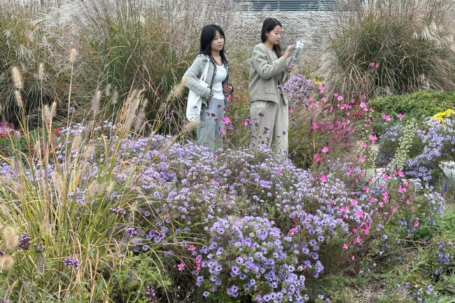 順著公園騎回家！豐台將建121公裏城市公園環