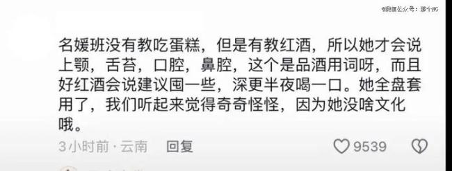 名媛培训班收割中年男明星 流水线名媛引发群嘲