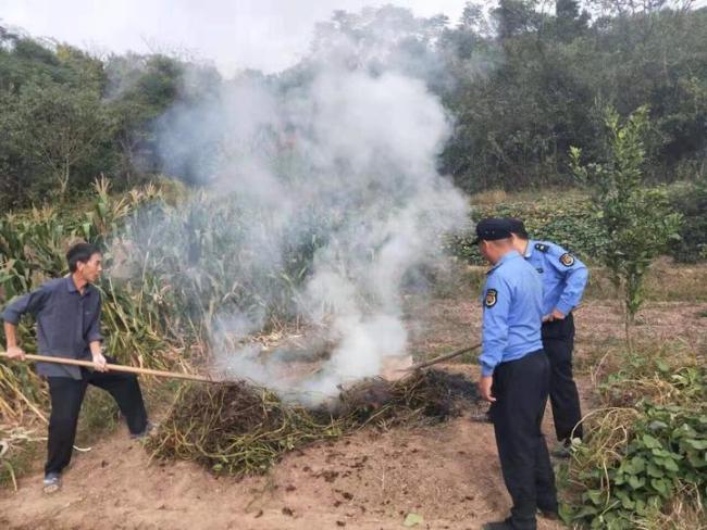 一刀切禁烧秸秆就是折腾农民，多地探索“限时分区”焚烧政策