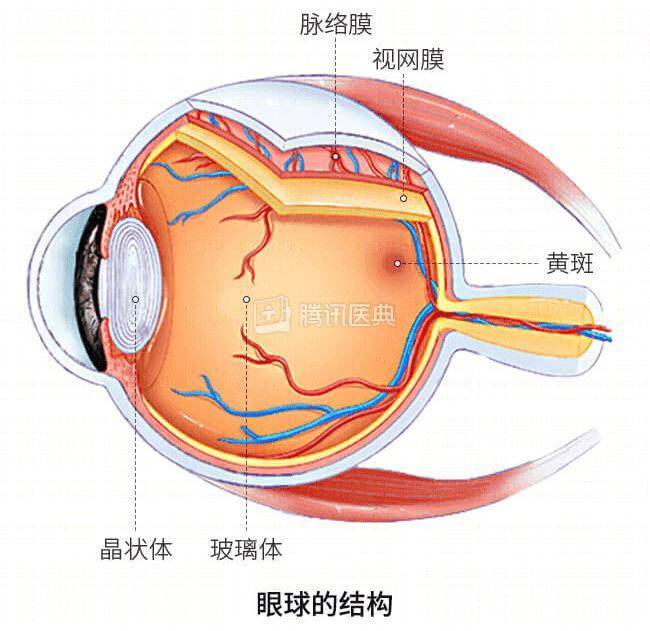 睡前玩手机真的很危险，这8种情况一定小心，第1种很多人都有 警惕视网膜脱落风险