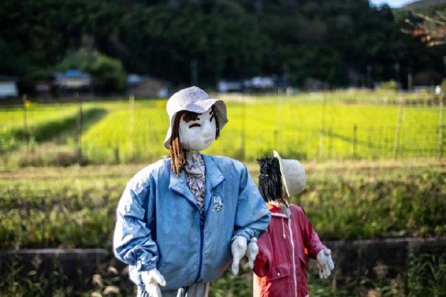 日本一村用真人大小玩偶增添人气