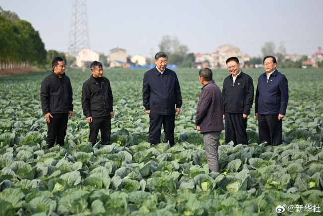 习近平：推进中国式现代化，必须加快推进乡村振兴