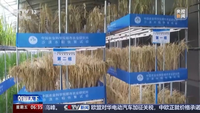 植物工廠長啥樣？揭秘種菜“黑科技”