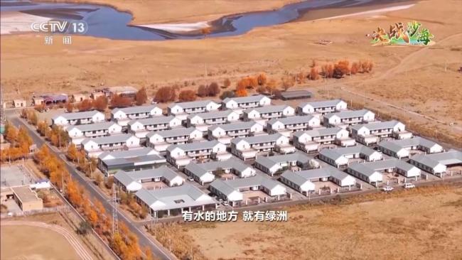  外国人说的中国魔方拦住了风沙