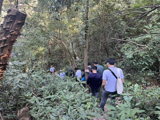 广州确认发现明代学者黄佐墓 家族墓群重见天日