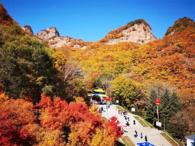 乘着“东北最美高铁”来一场秋日之旅