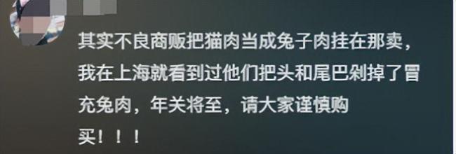 运狗货车在警方护送下抵达救助基地 疑似无检疫证明被截停