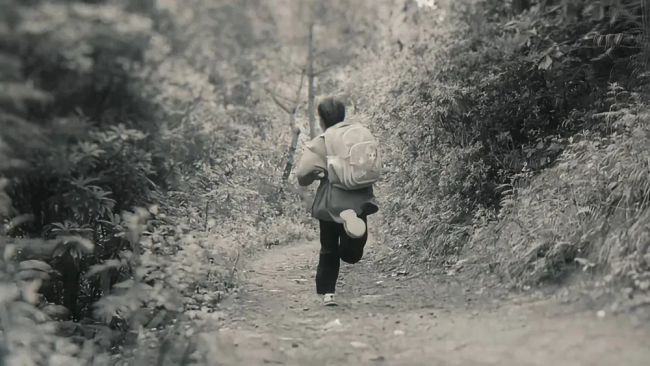 夏雨雨：还念念再来深圳赛马拉松，与梦同跑