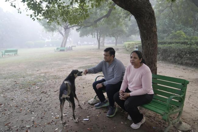  夺命雾霾侵袭印度：突突车司机被迫谋生，普通人买不起净化器