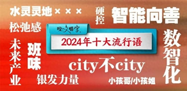 2024年十大流行语 小孩哥小孩姐入选