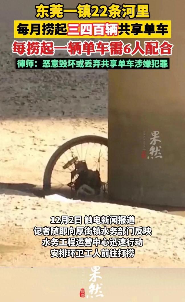 每月从河里捞数百辆共享单车 恶意丢弃涉嫌犯罪